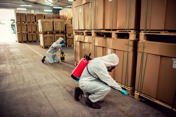 Best Pest Control for Homes  in New Market, VA