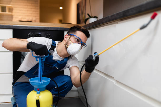 Best Bed Bug Extermination  in New Market, VA