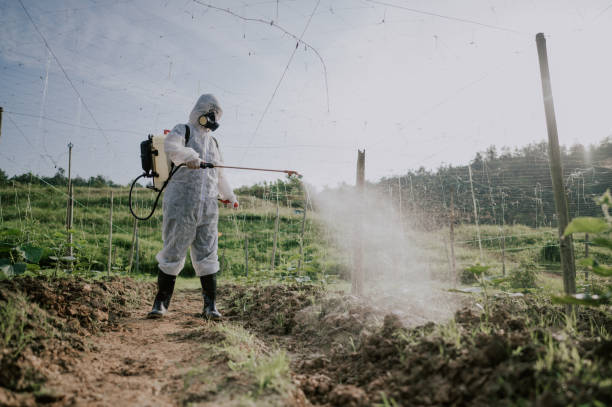 Best Commercial Pest Control Services  in New Market, VA
