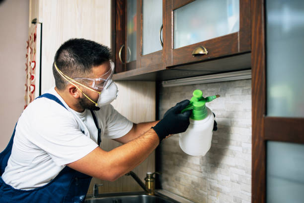 Professional Pest Control in New Market, VA