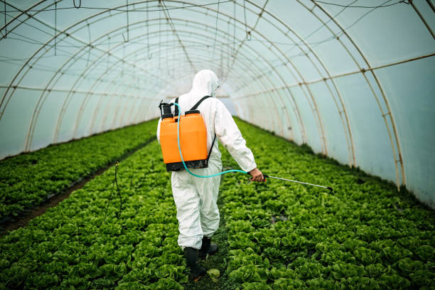 Best Pest Removal Services  in New Market, VA