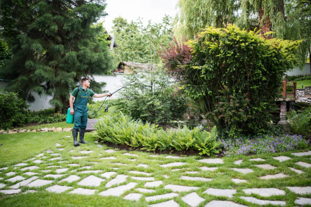 Best Commercial Pest Control Services  in New Market, VA