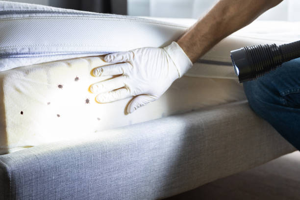 Best Wildlife Control Services  in New Market, VA