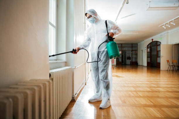 Best Pest Control Treatment  in New Market, VA
