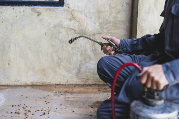 Best Pest Control Near Me  in New Market, VA